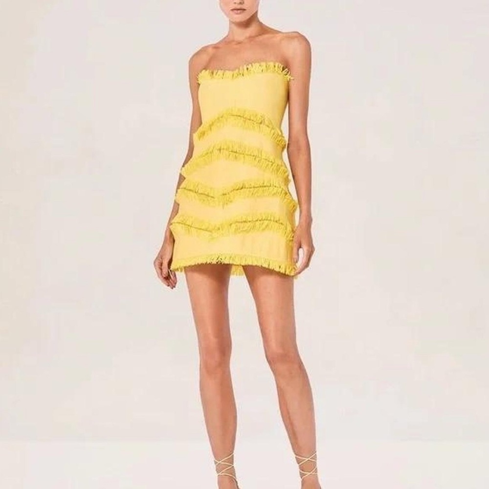 ALEXIS FIONIA DRESS SIZE XS